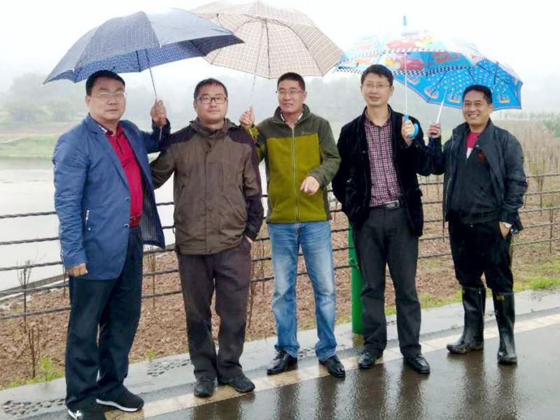 BB贝博艾弗森园林绿化维护