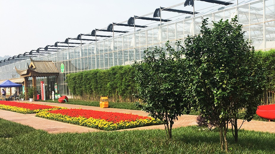 BB贝博艾弗森园林绿化维护